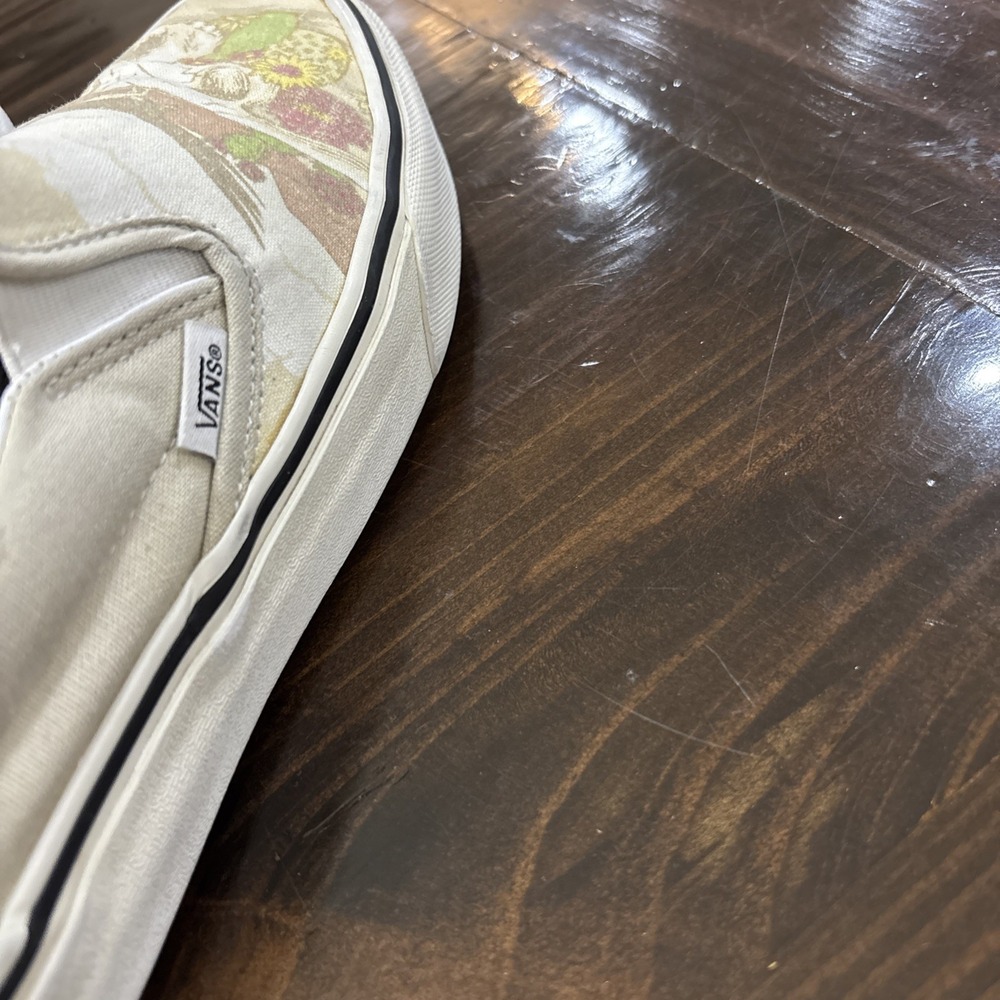 Vans Slip On Desert Vibes Cactus Roadrunner Shoes Men 8 Women 9.5 - Picture 11 of 13